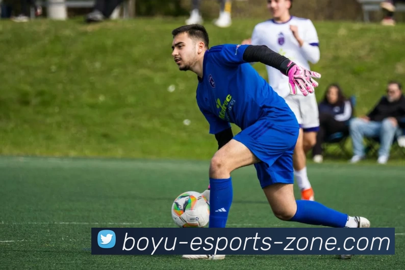 博鱼电竞官网APP 高清赛事图